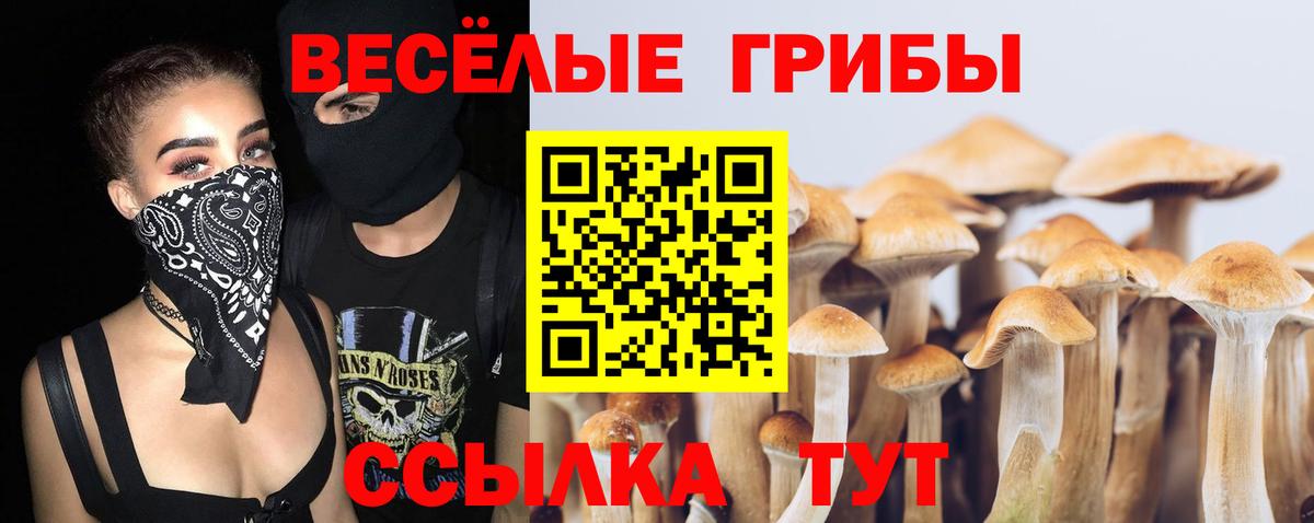 Каспийск  магазин    Вход с VPN  Псилоцибиновые грибы Magic Shrooms 